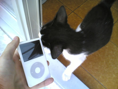 iPod foto della settimana